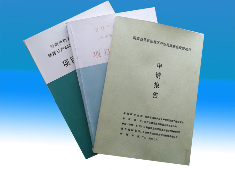 項目建議書